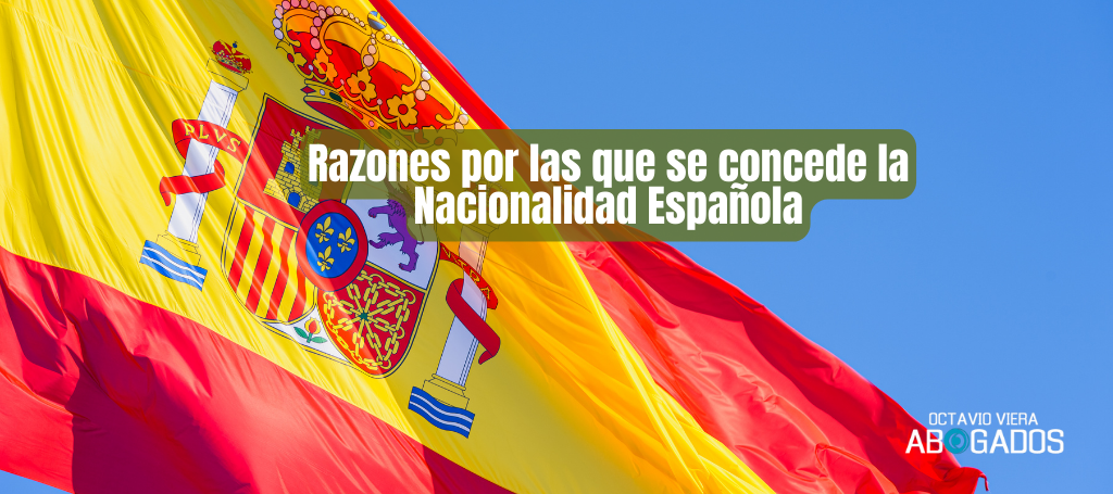 abogado extranjería